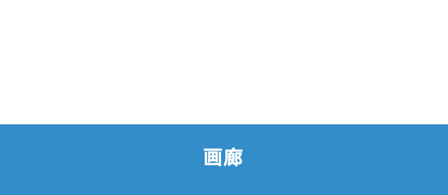 ギャラリー